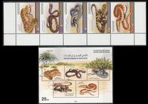 [Fauna - Desert Snakes in the U.A.R., סוג AOM]