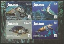 [WWF - Hawksbill Turtle, Tip AUM]