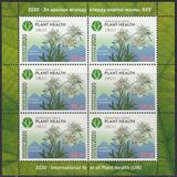 [International Year of Plant Health, Scrivi AOU]