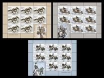 [Equestrian Sport, tip AEC]