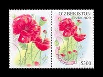 [Flowers - Poppy, type AXZ]