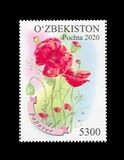 [Flowers - Poppy, type AXZ]