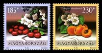 [Flora of Fungary - Fruits, type GZH]
