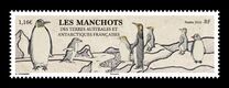 [Birds - Penguins, प्रकार AQC]