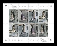 [Bats of Bosnia, 類型 WR]