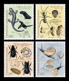 [Fauna of the Samina Valley, type CEK]