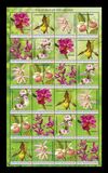 [Flowers - The World of the Orchid, タイプ TQ]