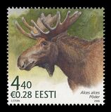 [Fauna - The Elk, type NY]