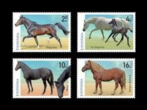[Fauna - Horse Breeds, tegund LPT]