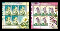 [Flowers - Endangered Plants of Belarus, type ADJ]