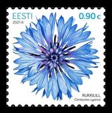 [Cornflower, type BDU]
