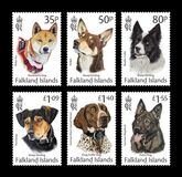 [Working Dogs, Tipe BDB]