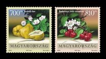 [Flora of Hungary - Fruits, type IDI]