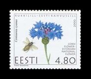 [Cornflower, type HS]