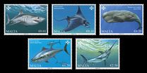 [Marine Life in the Mediterranean, 유형 DYF]