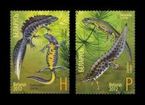 [Newts - Joint Issue with Russia, type AFV]