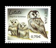 [Birds - Owls, 類型 ALJ]