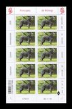 [International Dog Show - Monaco, tyyppi EDI]