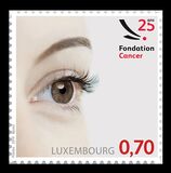 [The 25th Anniversary of the Fondation Cancer, type BXY]
