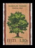 [Estonian Forest Trees, type BHI]