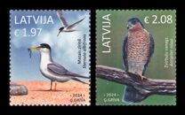 [Birds of Latvia, タイプ ALH]