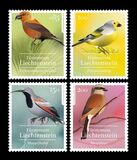 [Definitives - Native Songbirds, type CBR]