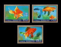 [Goldfish, тып ATJ]