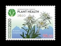 [International Year of Plant Health, Scrivi AOU]