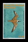 [International Migratory Bird Day, type ADE]
