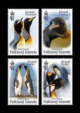 [Birds - The King Penguin, type BCO]