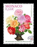 [The 30th Anniversary of the Princess Grace Rose Garden, type DSN]
