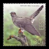 [Bird of the Year - The Common Cuckoo, type BHK]