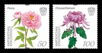 [Flowers - The 19th International Botanical Congress, Shenzhen, typ AIB]