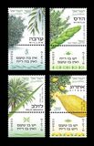 [The 50th Anniversary of the Safari Zoological Center, Ramat Gan, タイプ DYD]