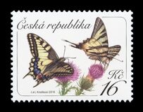 [Butterflies - Common Yellow Swallowtail, סוג AGP]