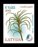 [Flora - Fine Najda, тип AER]