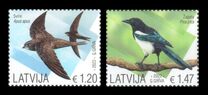 [Birds of Latvia, type AIZ]
