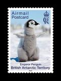 [Birds - Emperor Penguin, type AGO]