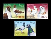 [Birds - Pigeons, type AER]