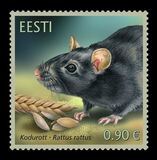 [Fauna - The Black Rat, type BDJ]
