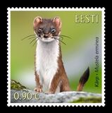 [Fauna - The Stoat, type BEG]
