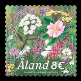 [Flowers of the Islet, típus UZ]