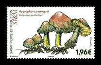 [Mushroom, type EKP]