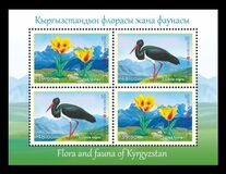 [Flora and Fauna of Kyrgyzstan, Typ AHI]