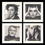 [Iconic Irish Voices, 類型 EER]