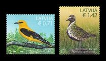 [Latvian Birds, ประเภท AAP]