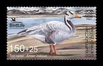 [Bird of the Year - The Bar-headed Goose, тип AWA]
