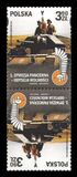 [The 1st Polish Armoured Division - Odyssey of Liberty, 類型 JWJ]