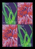 [EUROPA Stamps - Underwater Flora and Fauna, סוג AYT]