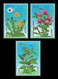 [Flora of Kyrgyzstan, typ AUM]